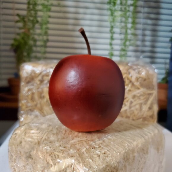 (6) Realistic Artificial Fruit – Home Décor - Picture 2 of 9